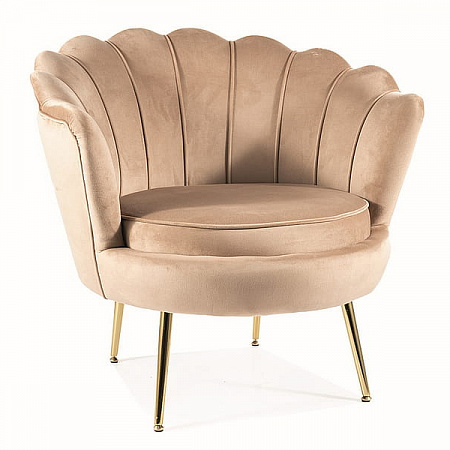Кресло SIGNAL CAMELLIA Velvet Bluvel 28 (бежевый/золотой) CAMELLIAV1BEZL